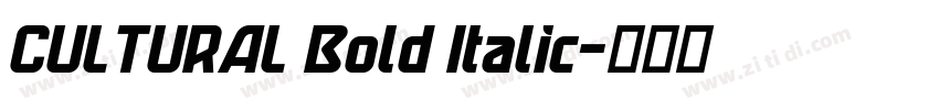 CULTURAL Bold Italic字体转换